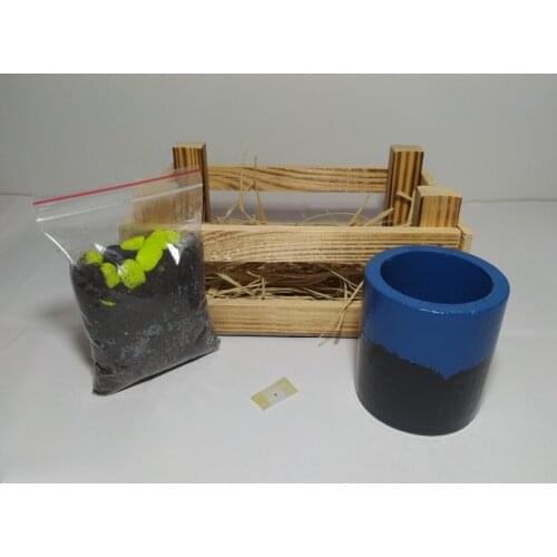 KENDİN YETİŞTİR LOCKER