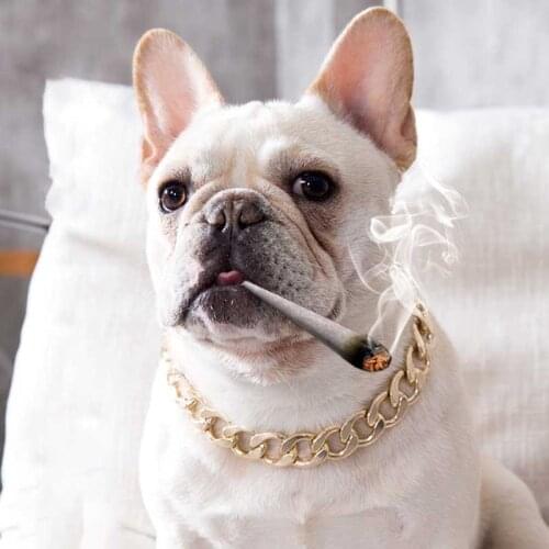 Pet Dog Collar Fashion Chain Pet Dog Cat Quick Release Necklace Collar Pet Accessory Necklaces Mascotas French Bulldog Necklace
