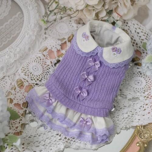 XXS XS Cat Puppy Small Dog Dress Spring Autumn Winter Dog Clothes Yorkies Pomeranian Poodel Bichon Schnauzer Clothing Dresses