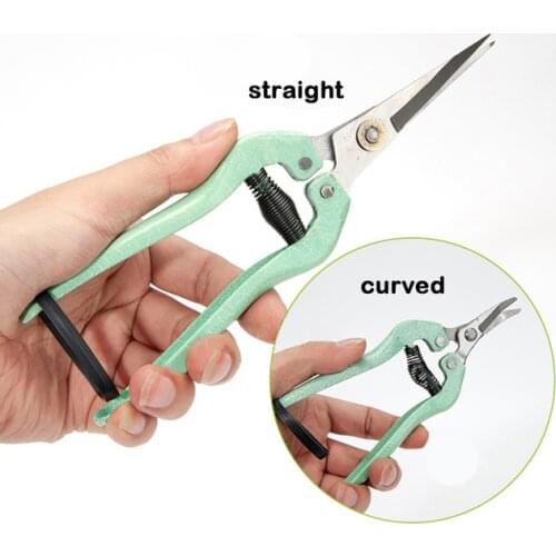 19.5cm Garden Scissor Straight blade fruit flower leaf pruning cut Shrub trimmer pruner Shear Plant horticulture Orchard tool