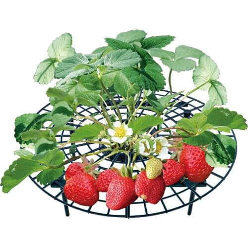 5/10/15/20 PCS Strawberry Stand Frame Holder Balcony Planting Fruit Support Plant Rack Flower Climbing Vine Pillar Gardening