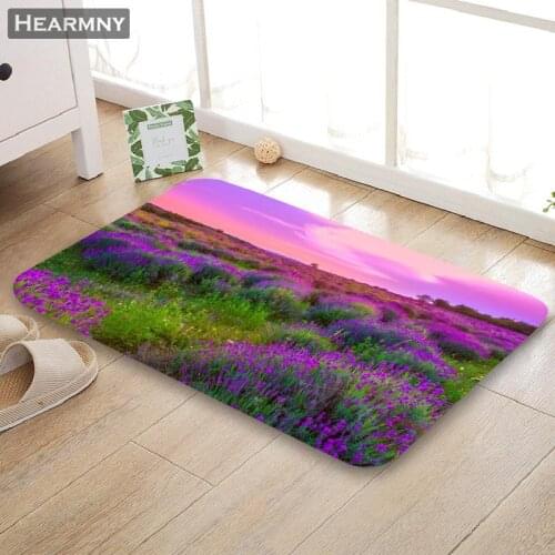Nice Lavender Doormat Outdoor Floor Mat Home Creative Mat Super Soft Absorbent Bathroom Door Entrance Mat 40X60cm,50x80cm