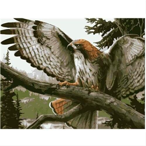 40x50cm Frame DIY Painting By Numbers Kits Colorful Eagle Animals Hand Painted Oil Paint By Numbers For Home Decor Art