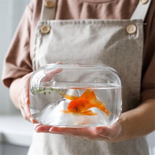 Snow Mountain Transparent Glass Fish Tank Mini Fish Bowl For Gold Fish Rumble Fishes Home Decor For Living room Valentines Day