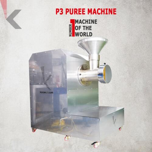 Puree Machine P3