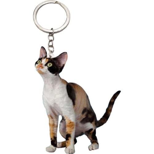 Donskoy Cat Keychain New Pet Cats Flat NOT 3D Small Keychains Animal Men Cute Charm Bag Drop Charms Gift Women Chain Miss Pets