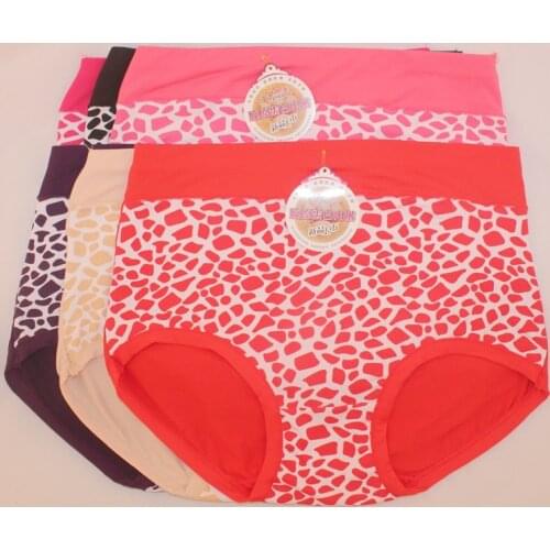 XXL 5Pcs/lot Womens plus size intimates ladys briefs underwear stone print YUEJIAOZI