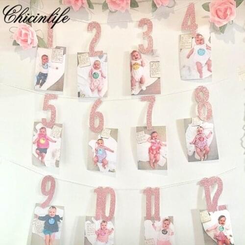 Chicinlife number 1-12 Months Photo banner Garland Signs Banner First birthday Party baby shower Photo Booth Props decoration