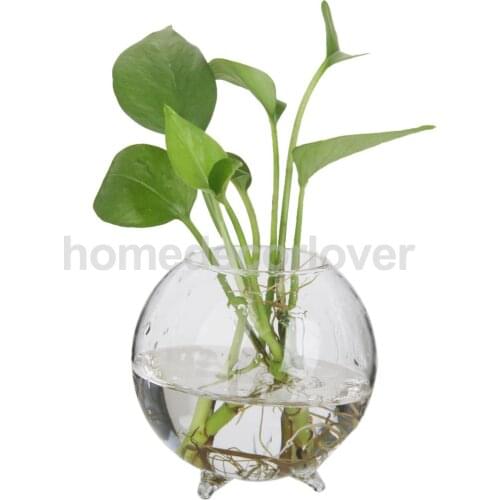 3 Pieces Glass Hydroponic Vase Micro Landscape Bottle Terrarium Container