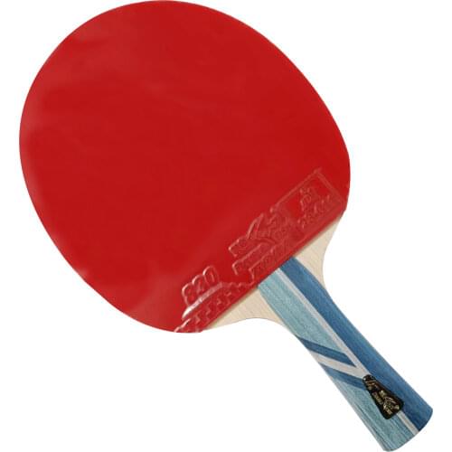 2 pcs Double Fish 3 Star Table Tennis Racket Fared Pingpong Paddle Horizontal Grip Bats with 2 sides Pimples-In rubbers