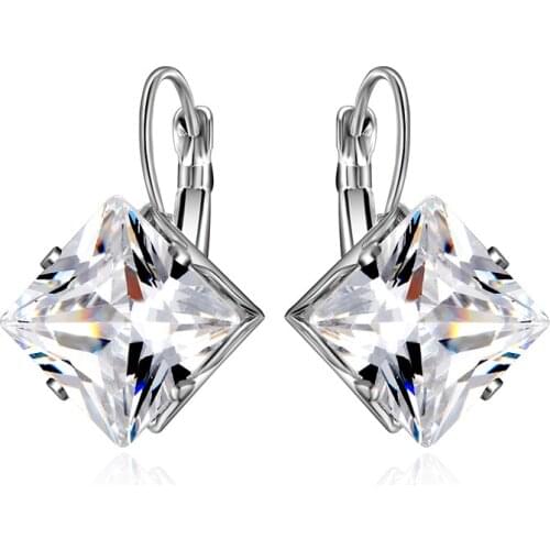 ZSLBS Dangle Earrings