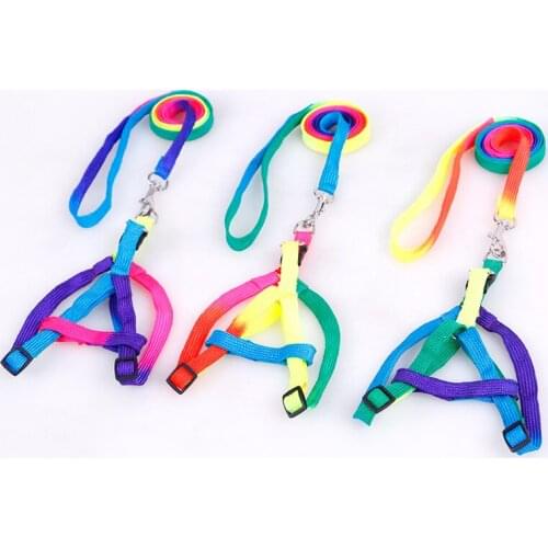 2017 New Arrival Dog Lead Collar Sets Chinese Cheap Nylon Line Lead For Dog Walking Rainbow Colorful Leads Clollar Free Shipping