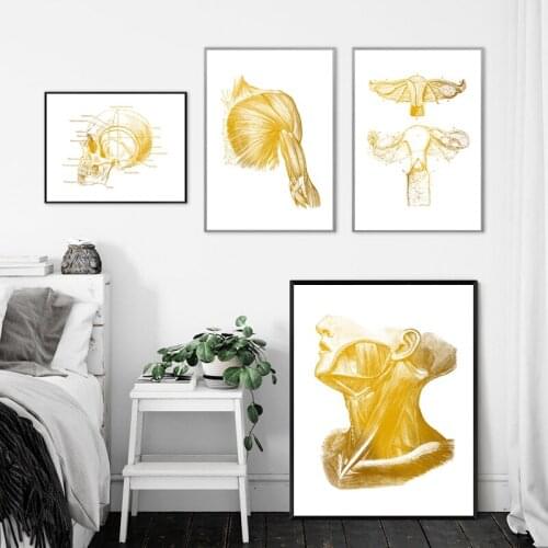 Gold Human Anatomy Artwork Medical Wall Picture Skeleton Organ Muscle System Vintage Poster Canvas Print Body Education Painting