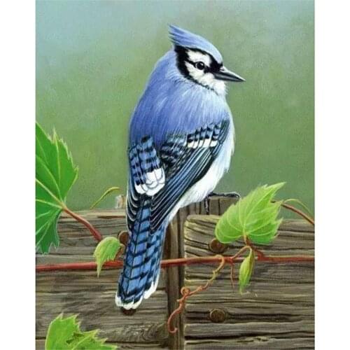 Bird Flower Printed Water-Soluble Canvas 11CT Cross Stitch Embroidery Full Kit DMC Threads Handicraft Handiwork Counted