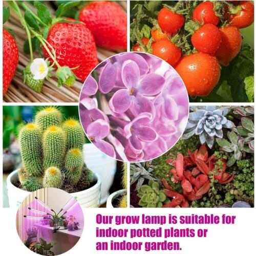 Профессиональное освещение BLUEKING China At AliExpress