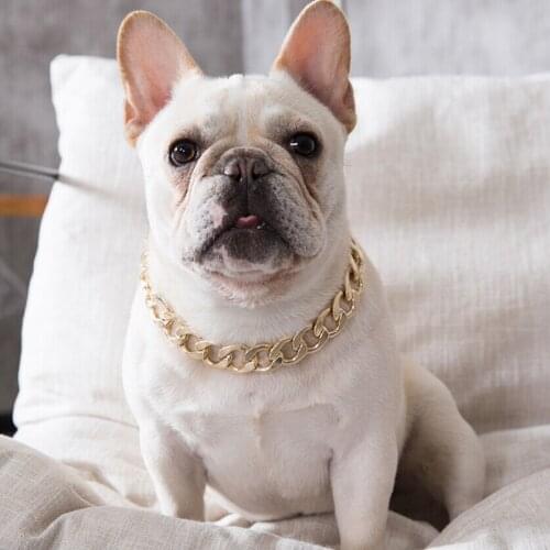 Fashion Shiny Gold Ring Collar Rhinestone Pendant Pet Necklace Collar Dog Jewelry M Size For Bulldogs Necklace Pet Accessories