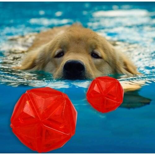 Creative Attractive Pet Toy Floatable Molar TPR Interactive Buoyancy Ball for Summer Pool Pet Dog Bathing Toys Supplies
