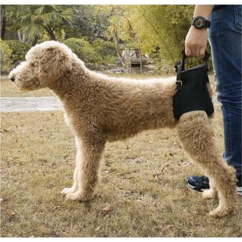 Pet Dog Hind Leg Auxiliary Belt Postoperative Rehabilitation Belt For Recovery Disability Leg Brace Help Walking Harness