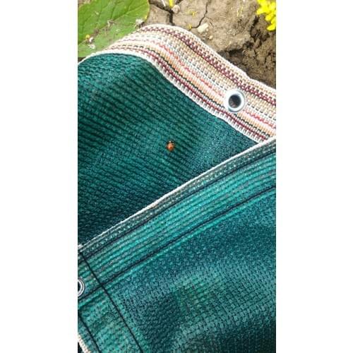 Erkim Sack Packing Canopy Net 1 X5 Mt 95 Canopy Fabric Shading Fence Cloth Green Kuşgözlü + Column