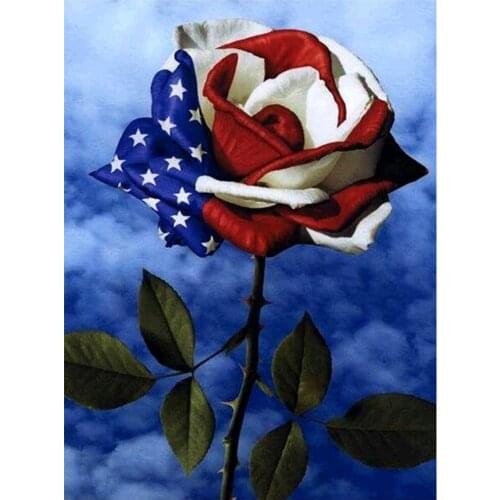 Round full diamond 5D flower diamond painting American flowers diamond embroidery kit home decoration gift