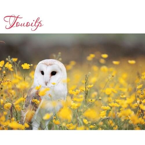 DIY diamond painting cross stitch diamond embroidery plastic crafts Full drill Owl and yellow flower Rhinestones painting sets