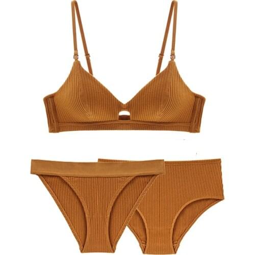 1 Bra And 2 Panties Sets Wireless Cotton Triangle Soft Cup Women Bras Underwear Set Thin Push Up Bralette Feamle Sexy Lingerie