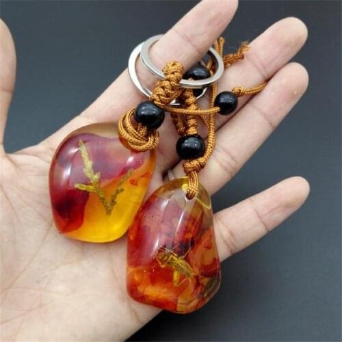 Luminous Real insect Key Chain - New Luminous Product Real insect Keychain bag Car key Ring