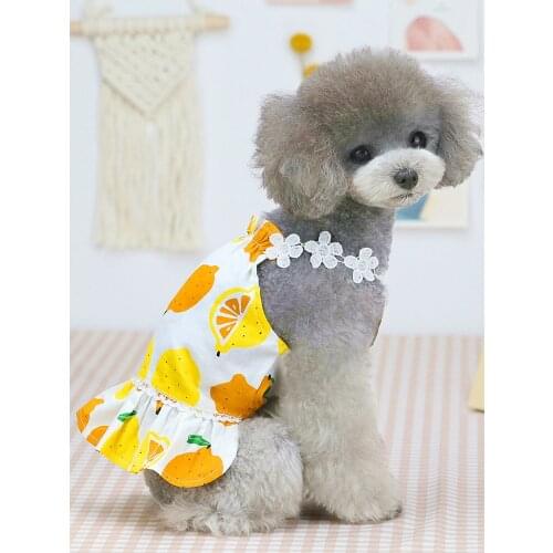 Cute Fruit Dog Dress Spring Summer Pet Dog Clothes For Small Dogs Fruit Lemon Pattern Two-legged Sling Dress Ruffle Vest Dress
