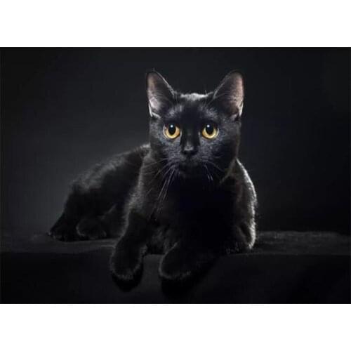 New 5D DIY Diamond Embroidery black cat Diamond Painting Diamond Mosaic needlework halloween picture of rhinestone art E1617