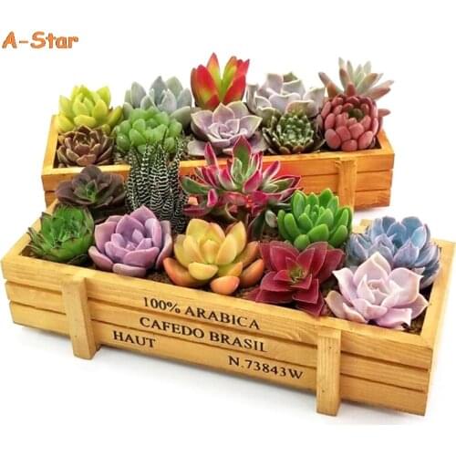 Garden Plant Pot Decor Succulent Wooden Boxes Crates Rectangle Table Flower Pot