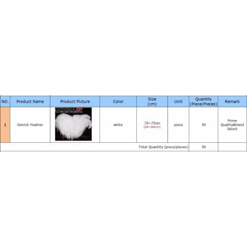 CHINAZP Feathers Design 70~75cm(28~30inch) Prime Quality Hand Select White Ostrich Feathers Carnival Showing