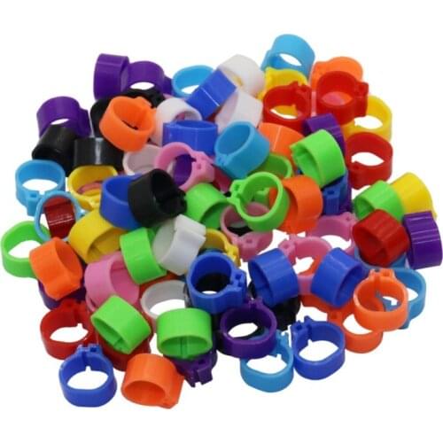 Inner Diameter 8mm Bird Pigeon Foot Ring Ten Colors Without Text Light weight Freedom Of Action Poultry Ring Bird Carry 1000 Pcs