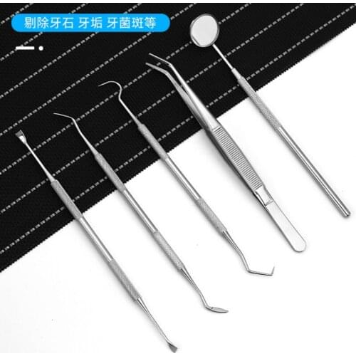 5 Pcs Tooth Cleaning Tool Set Stainless Steel Dental Tool Set Scaler Probe Tweezers Dentist Tartar Removal Mouth Mirror