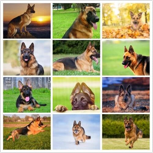 German Shepherd Diamond Painting Full Square Pet Dog Diamond Embroidery DIY Hobby Art Wall Decoration Handmade Kids Gift