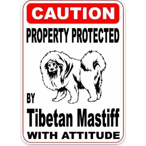 New Funnyg Property Protected By Tibetan Mastiff Dog Car Sticker Car Decals Vinyl Car Window PVC Apply To Car Window window