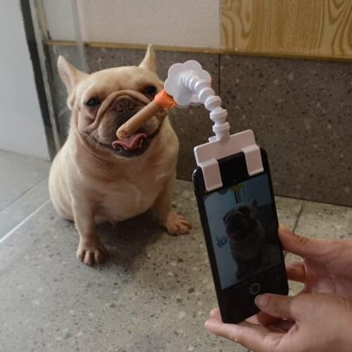Pet Selfie Stick for Dogs Cat photography tools Pet Interaction Toys Concentrate Training Supplies Dog Cat Toys