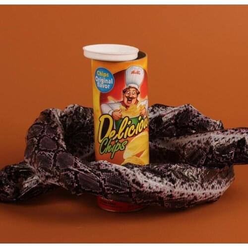 Novelty Toys Potato Chip Can W/ Fake Spring Snake for Party 21.6 X 7.7cm