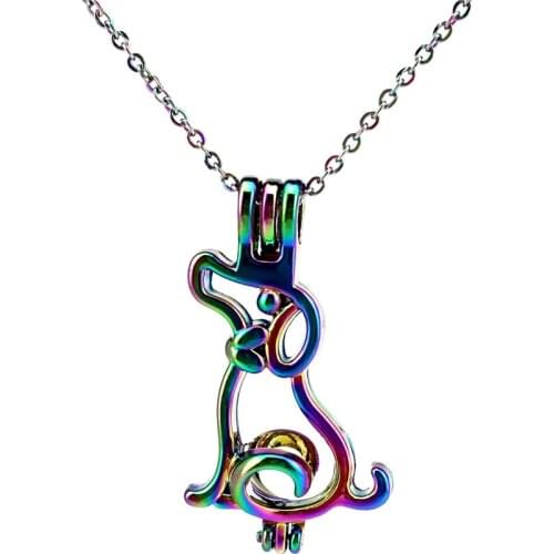 C807 Rainbow Color Puppy Dog Bead Pearl Cage Necklace Pendant Aroma Essential Oil Diffuser Fun Gift
