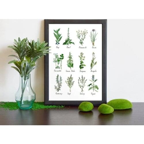 Plant Icons Herbs Spices Specimen Pictures Canvas Painting Wall Posters For Living Room Decoration Home Decor