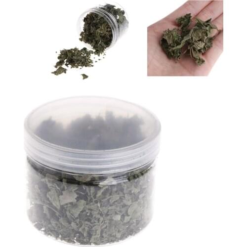 1 Bottle Pet Cat Natural Silvervine Leaves Cat Catnip Toy Dried Polygonum Matatabi Toys Flavor Snacks Cat Supplies C42