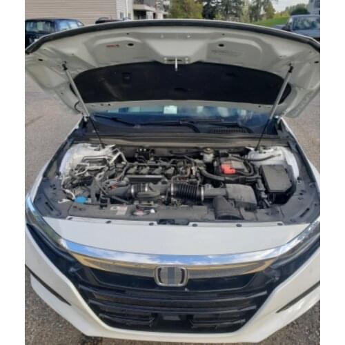 Car Styling Hood Bonnet Gas Struts for Honda Accord 10th 2018-2020 Lift Support Gas Spring Damper Carbon Fiber Shock