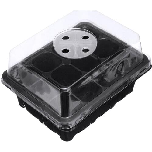 Семена Nayitr China At AliExpress