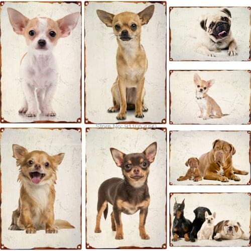 Iron Sheet Sunglasses Dog Metal Tin Sign Painting Wall Decoration Cool Pet Creative Personality Metal Iron Sheet Painting Sale