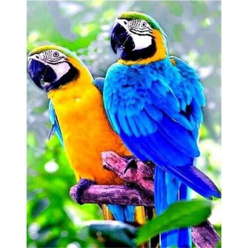 5d diamond Painting parrot Bird Full Square Drill DIY Diamond Mosaic Animal Cross Stitch Embroidery Rhinestone Home Decor G552