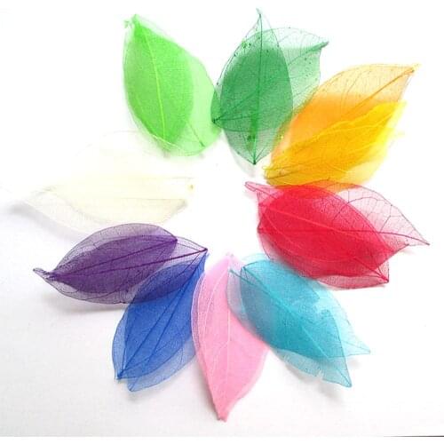 Wholesale 100pcs Multicolor optional Natural skeleton leaves for DIY 014001002