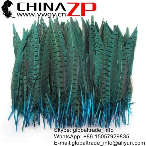 CHINAZP Factory 100pcs/lot 25-30cm(10-12inch) Length Top Quality Dyed Turquoise Ringneck Pheasant Tail Feathers for Carnival