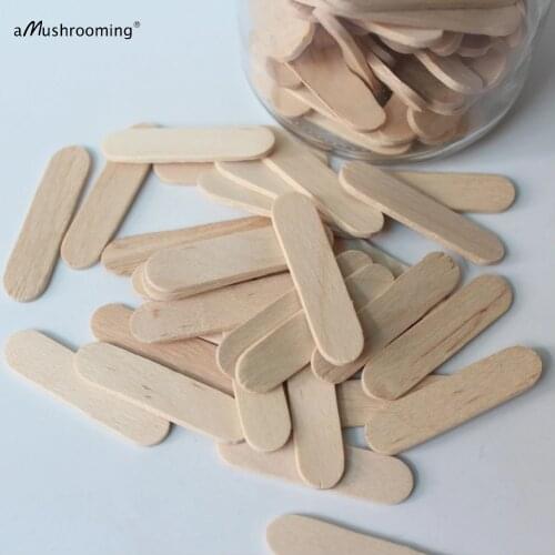 X100 mini Ice Cream Sticks popsicle Stick 4cm long Ice Lolly Lollipop Crafts Model Ice Cream Tools Birch Wood Party Decorations