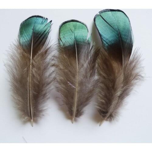 50Pcs 4-9cm Copper Green DIY Crafts Plumas Pheasant Chicken Feathers For Hair Hat Show Jewelry Headwear Mask Clothing Decoration