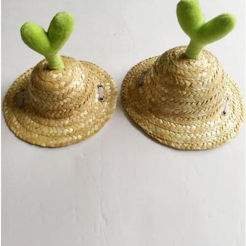 Summer Pet Dog Hat Cap Outdoor Dog Sunshade Cap Canvas Small Dog Sunscreen Accessories