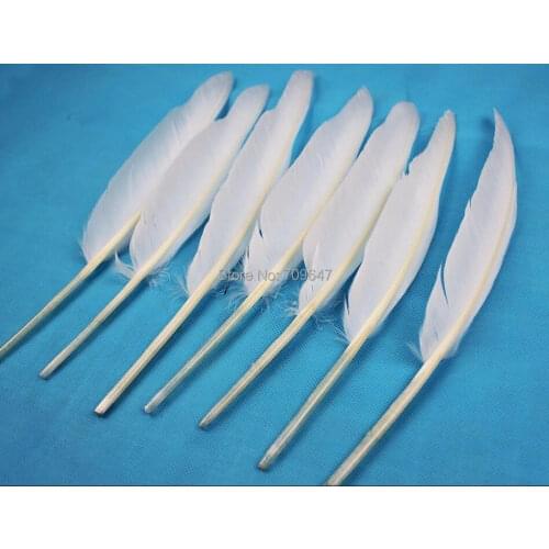 Plumas decoracion!50PCS/LOT!Pretty White Goose Shoulder Feather plumes,White Goose Quills 10-12inches/25-30cm for Crafts